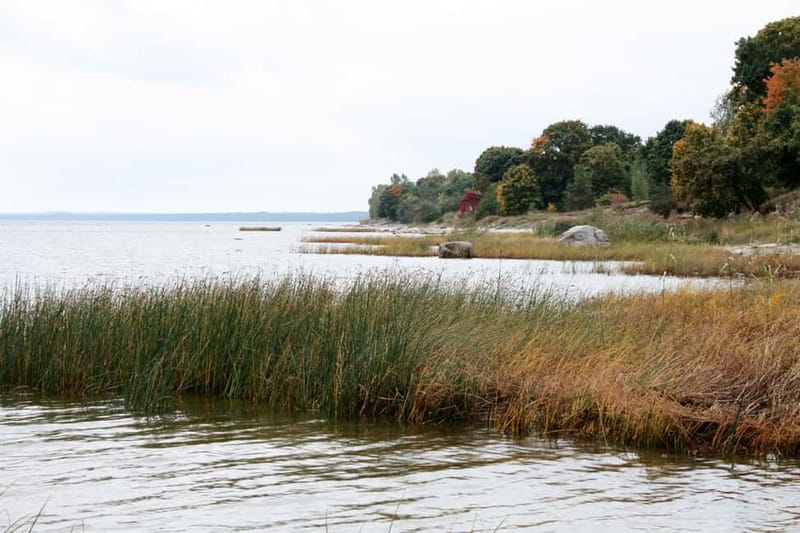 Baltic Sea Coastal Scenery and Cape Kolka From Riga - Kolka Horn: meeting place of two seas, and that changing water line
