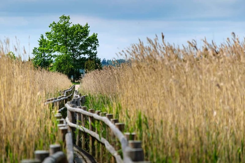 Baltic Sea Coastal Scenery and Cape Kolka From Riga - A quick practical checklist before you go