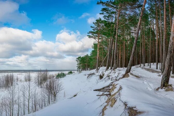 Best of Latvia, Jurmala, Kemeri N Park, Kuldiga City, Food & More - Food and small extras: the Latvian meal, treats, and local recommendations