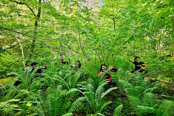 Discover Best Of Gauja National Park In One Day - One day from Riga: why Gauja National Park fits so well