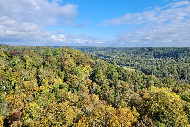 Discover Best Of Gauja National Park In One Day - Stop 1 in Gauja National Park: what your 8 to 12 km hike is really like