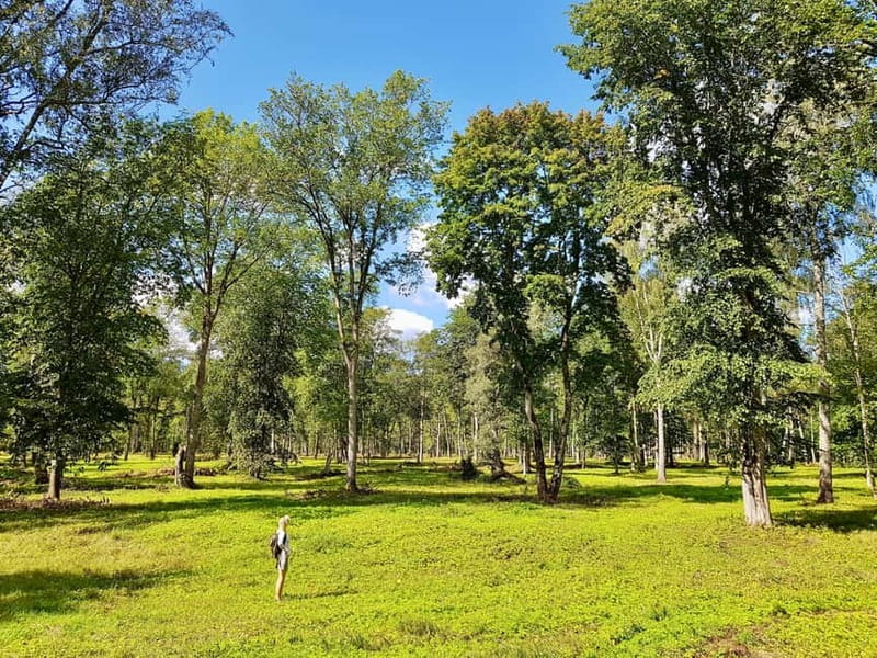 Discover Best of Sigulda and Gauja National Park In One Day - One-day Gauja National Park plus castles, without the long trip