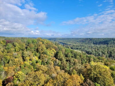 Discover Best of Sigulda and Gauja National Park In One Day