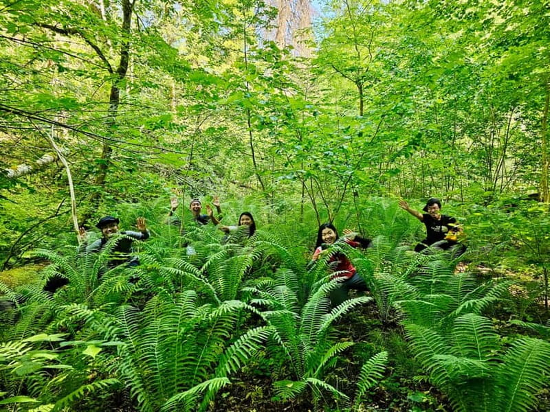 Discover Best of Sigulda and Gauja National Park In One Day - Sigulda and Krimulda sightseeing, with a calm not-rushed approach