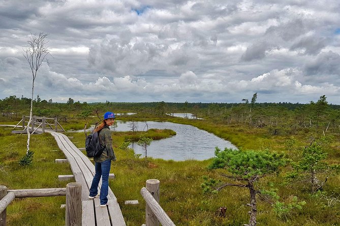 From Riga: Best of Kemeri National Park In One Day - How the day runs from Riga: timing, pacing, and what 7 hours really means