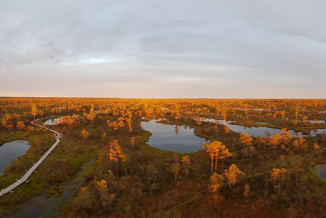 From Riga: Best of Kemeri National Park In One Day - What makes the guide style work in Kemeri: improv-travel and eco focus
