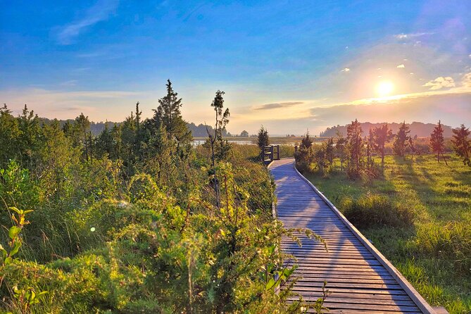 From Riga: Best of Kemeri National Park In One Day - The route is built for variety, not just distance