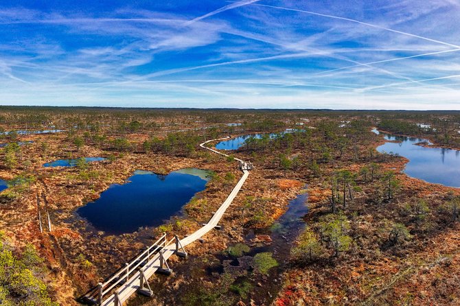 From Riga: Best of Kemeri National Park In One Day - Price and value: what $235.33 buys you in a one-day nature circuit
