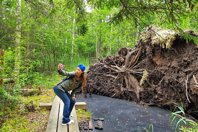 From Riga: Best of Kemeri National Park In One Day - Who this suits best (and who might want something else)