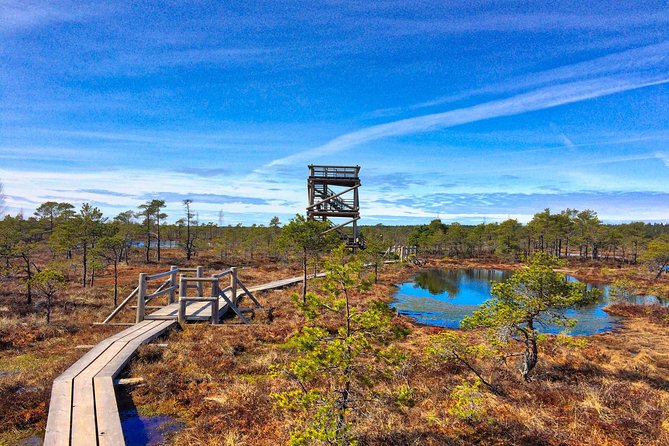 From Riga: Best of Kemeri National Park In One Day - Ragaciems and the Gulf of Riga coast: sandy air after the wetlands
