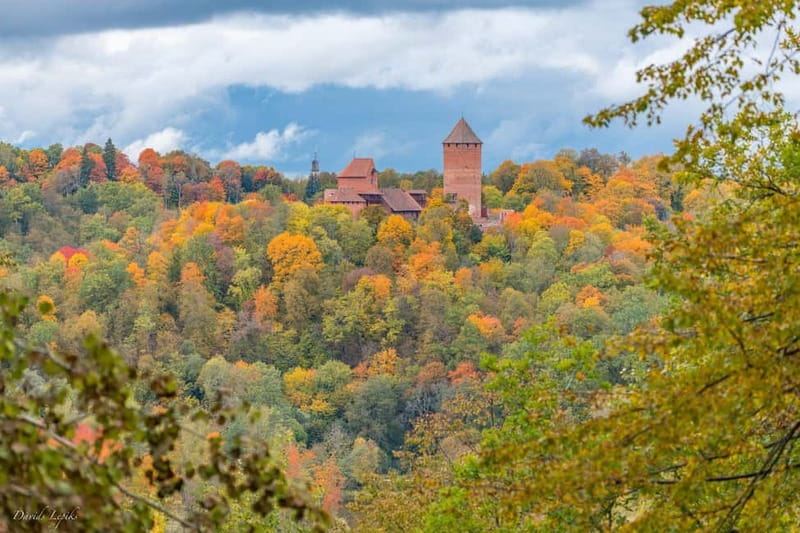 From Riga: Cesis and Sigulda Day Trip with Hotel Transfers - Ungurmuiža Manor: Latvia’s Wooden Baroque Survival Story