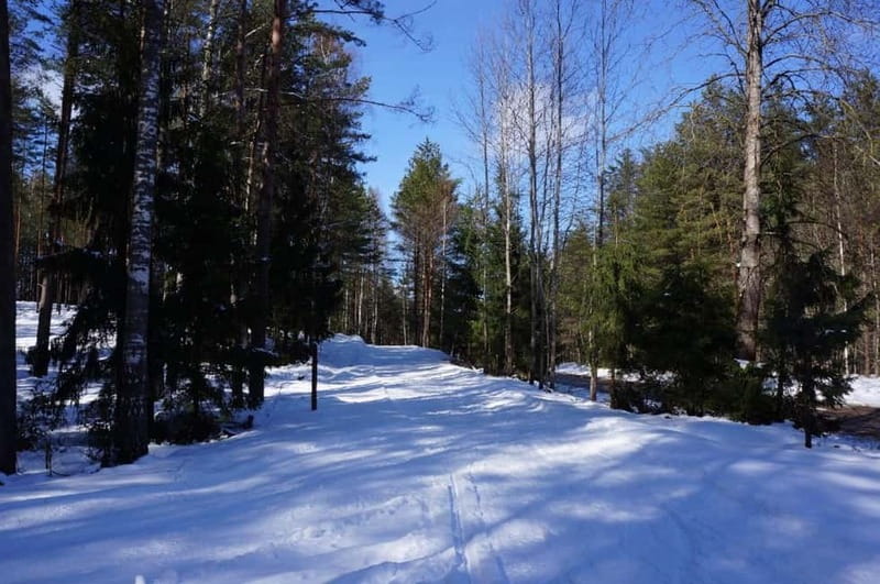 From Riga: Cross-country skiing and beating heart memorial - Ski time in Ogre forest park: rentals, pacing, and real winter effort