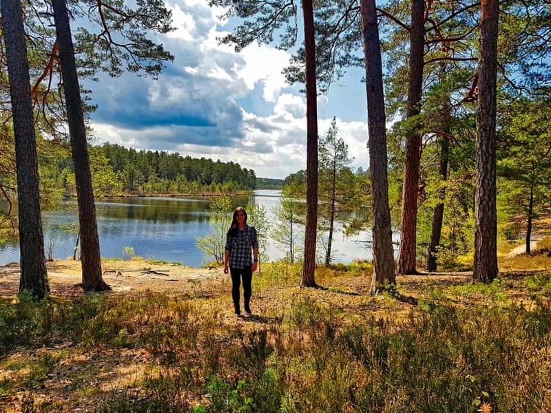 From Riga: Four Natural Ecosystems In One Hike - Riga pickup to Piejūra pines, what the 6 hours feel like