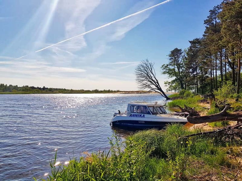 From Riga: Four Natural Ecosystems In One Hike - Improv-travel on the trail: how the guide turns facts into fun