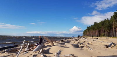 Four Natural Ecosystems In One Hike