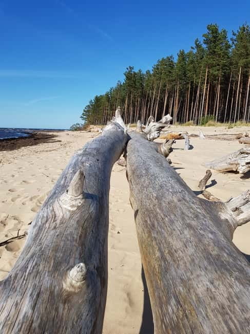 From Riga: Four Natural Ecosystems In One Hike - Price and value at $147: what you’re paying for