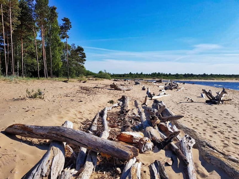 From Riga: Four Natural Ecosystems In One Hike - What to pack and how to make the walk feel easy