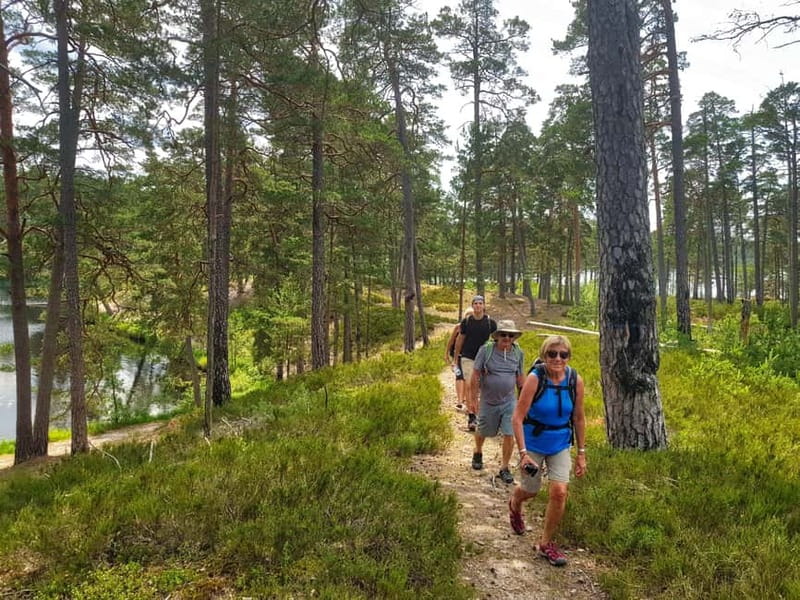 From Riga: Four Natural Ecosystems In One Hike - Who this hike suits best, and who might want a different day