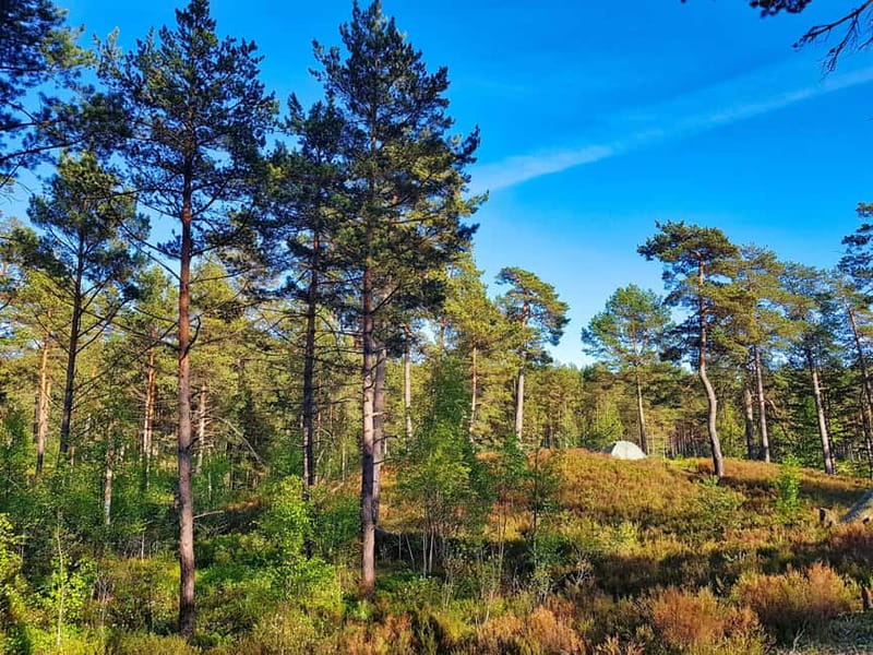 From Riga: Four Natural Ecosystems In One Hike - Safety and insurance, the no-scare talk version