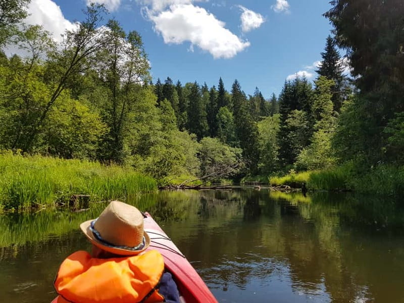 From Riga: Full-Day Scenic Gauja River Valley Kayaking Trip - Steep riverbanks and sandstone cliffs, seen the way they were meant to be seen
