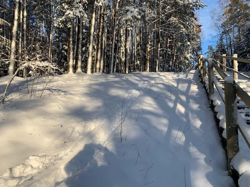 From Riga: Husky Sledding or Wheel Kart Tour - Food, Drink, and Riga Black Balsam: Small Extras That Matter