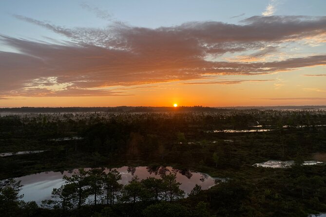 From Riga: Kemeri Bog Boardwalk and Jurmala Seaside - The big idea: why this Riga day trip feels like two different countries