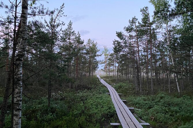 From Riga: Kemeri Bog Boardwalk and Jurmala Seaside - Start point and pacing: a 9:00 launch from Herdera laukums