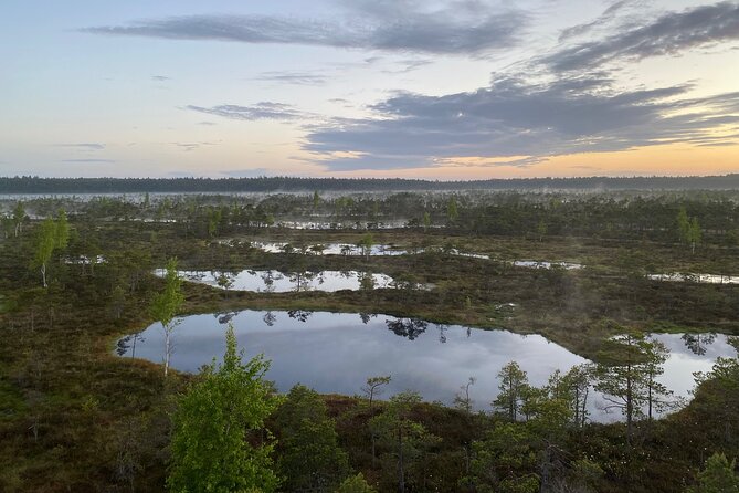 From Riga: Kemeri Bog Boardwalk and Jurmala Seaside - Stop 2: Kemeri Historical Park and the spa-era story in 30 minutes