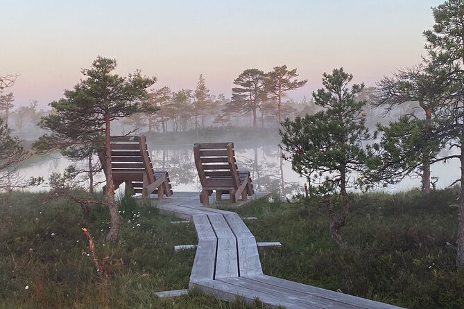 From Riga: Kemeri Bog Boardwalk and Jurmala Seaside - Price and value: what you pay for at $114.28 per person