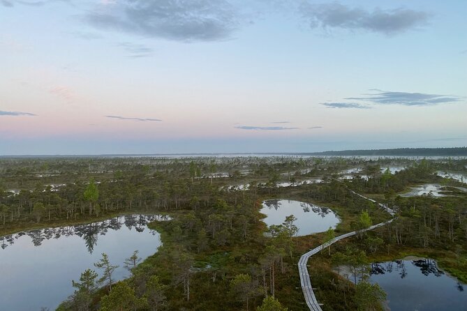 From Riga: Kemeri Bog Boardwalk and Jurmala Seaside - Stop 1.5: A nature walk that doesn’t feel like punishment