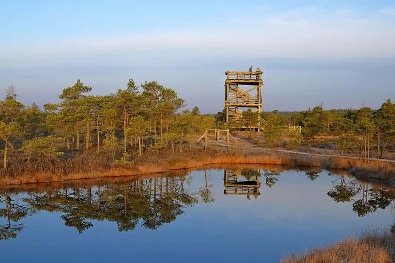From Riga: Kemeri National Park and Kuldiga Tour - Key highlights worth planning for