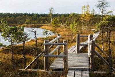 Kemeri National Park and Kuldiga Tour