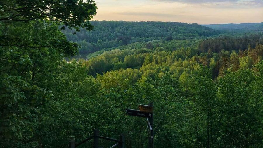 From Riga: Sigulda Top Sights & Wine Tasting - Price and value: what $153 buys you (and when it costs more)