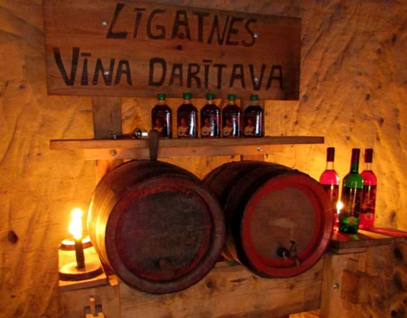 From Riga: Sigulda Top Sights & Wine Tasting - Who this tour suits, and who should skip it