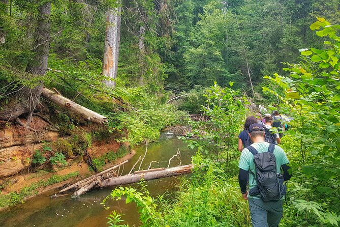 Full Day Gauja National Park Ultimate Hiking & Sightseeing Trip - Key highlights and what makes this tour work