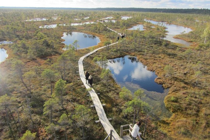Full-Day Private Trip to Jurmala, Fisherman Villages and Nature Trails from Riga - Stop 4: Jomas Street, dunes in name and town energy in practice