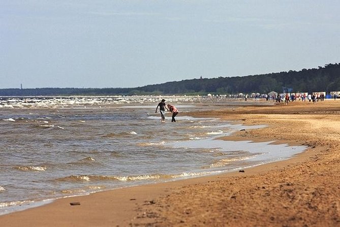 Full-Day Private Trip to Jurmala, Fisherman Villages and Nature Trails from Riga - Stop 5: Ķemeri National Park boardwalk through the moor marsh