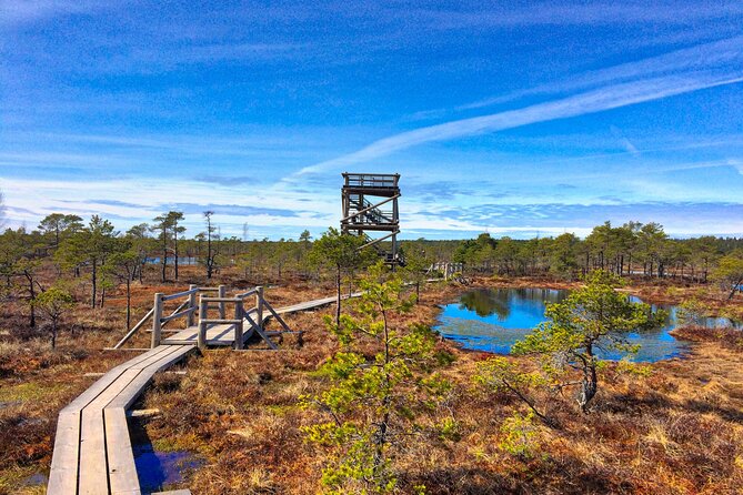 Great Ķemeri Bog and Swamp Forest Hiking Adventure - What You Get Included, and What You’ll Need to Budget
