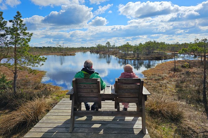 Great Ķemeri Bog and Swamp Forest Hiking Adventure - Who This Tour Fits Best