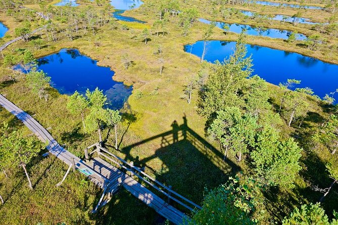Great Ķemeri Bog and Swamp Forest Hiking Adventure - Stop 2 on Slokas Lake Trail: Flooded Black Alder Swamp Forests