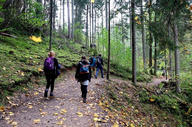Hike In Gauja National Park - Up And Down The Switzerland Of Latvia - The 15 km hike plan: rivers, bluffs, and the “Little Switzerland” feeling