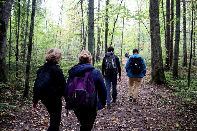 Hike In Gauja National Park - Up And Down The Switzerland Of Latvia - Where the magic shows up: viewpoints, caves, sandstone, and pastures