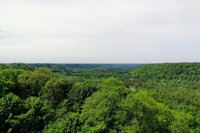 Hiking in Gauja National Park - What to bring for Gauja in the real world