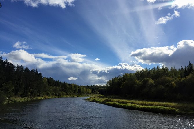 Hiking in Gauja National Park - Price and value: why $120.29 can feel fair for the right traveler