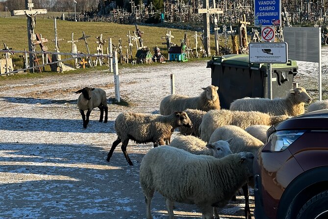 Hill of Crosses and Jelgava Gems Tour - 2 countries in 1 day - Kryziu Kalnas: how your one hour actually feels on the hill