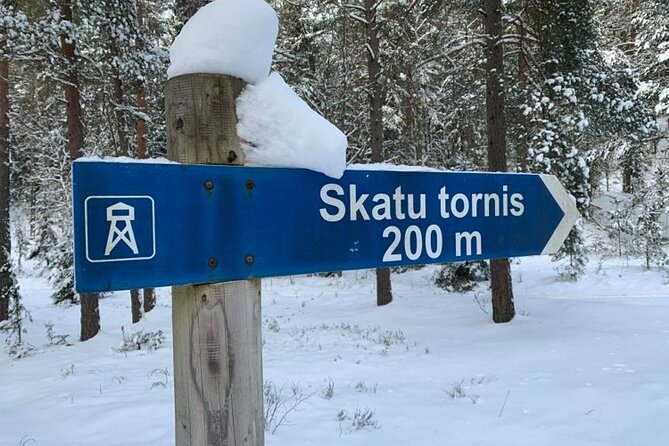 Husky dog sled/bike kart ride in Latvia ~ 3h group tour from Riga - Getting to Ogres Zilie Kalni: The Comfortable Car Time Adds Value