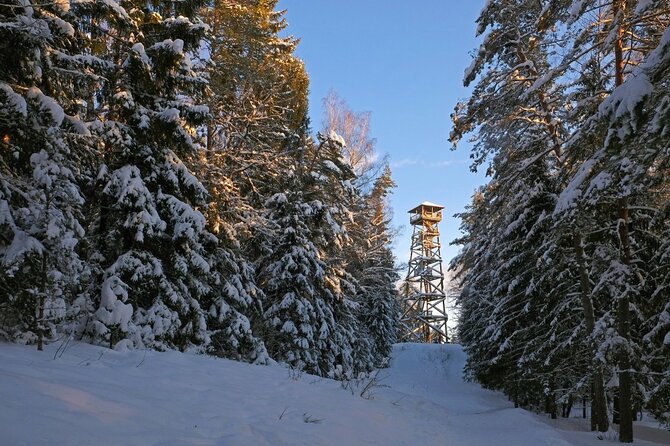 Husky Dog Sledding Tour From Riga - The Snowy Forest Trails: A Calm Hour After the Adrenaline