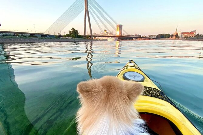 Kayaking Adventure in Riga - What’s included, and why this price feels fair