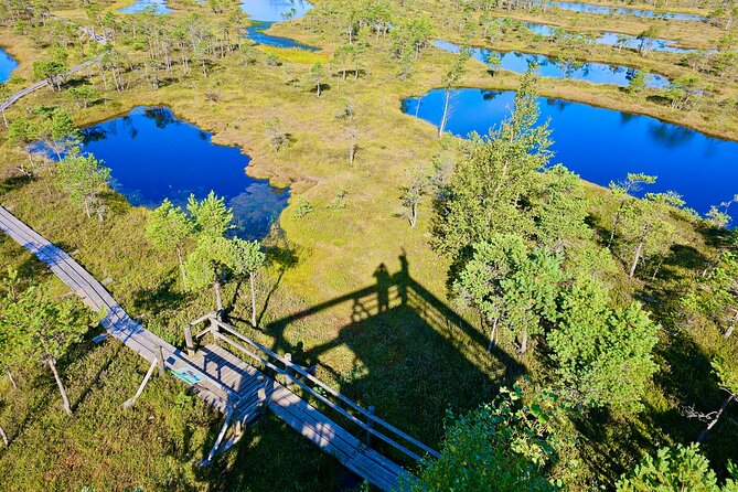 Ķemeri Great Bog Discovery With Optional Sunrise & Jūrmala Visit - Key highlights worth planning for