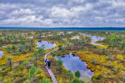 Ķemeri Great Bog Discovery With Optional Sunrise & Jūrmala Visit
